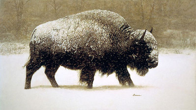 Buffalo In Storm- Signed By The Artist								 – Canvas Giclee
								 – Limited Edition
								 – 20 A/P
								 – 
								14 x 25