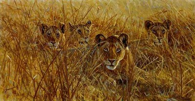 Heart Of The Pride- Signed By The Artist								 – Canvas Giclee
								 – Limited Edition
								 – 14 A/P
								 – 
								15 x 28