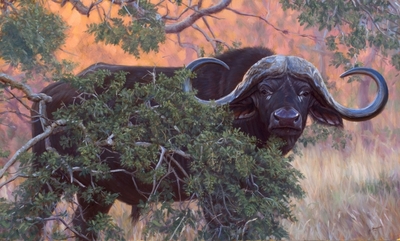 Black Gold- Signed By The Artist								 – Canvas Giclee
								 – Limited Edition
								 – 200 S/N
								 – 
								21 x 35