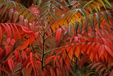 Cardinal And Sumac- Signed By The Artist								 – Paper Lithograph
								 – Limited Edition
								 – 76 A/P
								 – 
								13 x 19 1/2