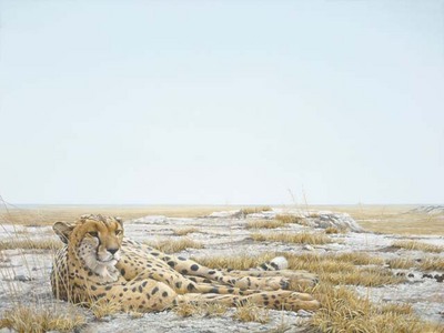 Cheetah Siesta- Signed By The Artist								 – Canvas Giclee
								 – Limited Edition
								 – 99 S/N
								 – 
								36 x 48