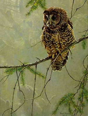 Continuing Generations – Spotted Owls – Set Of Two- Signed By The Artist								 – Paper Lithograph
								 – Limited Edition
								 – 950 S/N
								 – 
								20 x 15