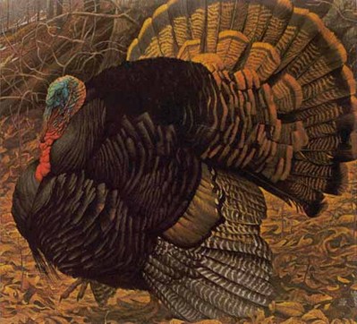 Courtship Display – Wild Turkey- Signed By The Artist								 – Paper Lithograph
								 – Limited Edition
								 – 950 S/N
								 – 
								20 x 22 1/4