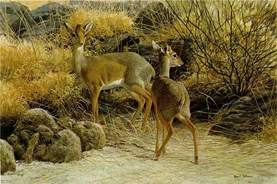 Dik Diks- Signed By The Artist								 – Paper Lithograph
								 – Limited Edition
								 – 500 S/N
								 – 
								17 x 25 3/8								
								 –