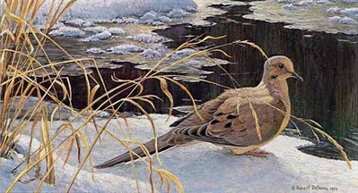 Down For A Drink – Mourning Dove- Signed By The Artist								 – Paper Lithograph
								 – Limited Edition
								 – 950 S/N
								 – 
								8 3/4 x 14 3/4