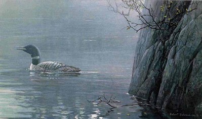 Evening Call – Common Loon- Signed By The Artist								 – Paper Lithograph
								 – Limited Edition
								 – 950 S/N
								 – 
								11 3/8 x 19