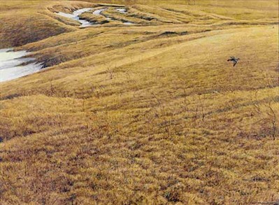First Arrival – Killdeer- Signed By The Artist								 – Paper Lithograph
								 – Limited Edition
								 – 56 A/P
								 – 
								20 1/2 x 27 1/4