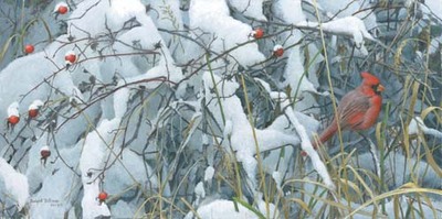 Fresh Snow – Cardinal- Signed By The Artist								 – Canvas Giclee
								 – Limited Edition
								 – A/P
								 – 
								12 x 24