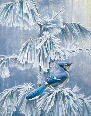 Frosty Morning – Blue Jay- Signed By The Artist								 – Paper Lithograph
								 – Limited Edition
								 – 950 S/N
								 – 
								19 1/4 x 15 1/4