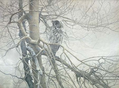 Ghost Of The North – Great Gray Owl- Signed By The Artist								 – Canvas Giclee
								 – Limited Edition
								 – 180 S/N
								 – 
								30 x 40