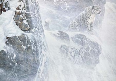 High Kingdom – Snow Leopard- Signed By The Artist								 – Canvas Giclee
								 – Limited Edition
								 – 70 S/N
								 – 
								34 x 48