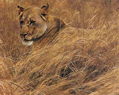 In The Grass – Lioness- Signed By The Artist								 – Paper Lithograph
								 – Limited Edition
								 – 950 S/N
								 – 
								20 1/8 x 26 1/2
