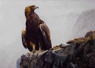 In The Highlands – Golden Eagle- Signed By The Artist								 – Paper Lithograph
								 – Limited Edition
								 – 950 S/N
								 – 
								20 x 28
