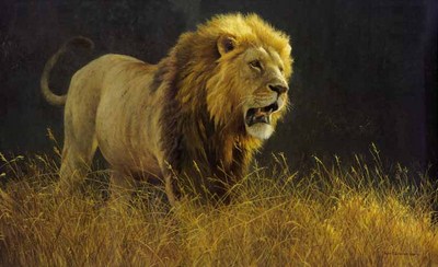 Into The Light- Signed By The Artist								 – Canvas Lithograph
								 – Limited Edition
								 – 180 S/N
								 – 
								28 x 46