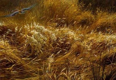Kestrel And Grasshopper- Signed By The Artist								 – Paper Lithograph
								 – Limited Edition
								 – 1250 S/N
								 – 
								21 5/8 x 29 1/8