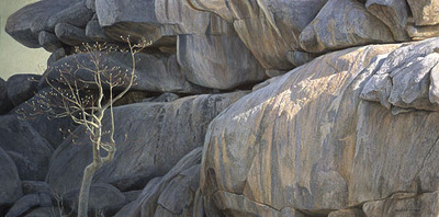 Kopje Lookout – Leopard- Signed By The Artist								 – Canvas Giclee
								 – Limited Edition
								 – 180 S/N
								 – 
								22 x 44