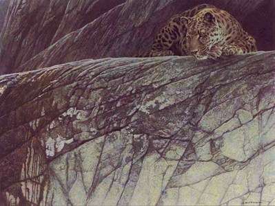 Leopard Ambush- Signed By The Artist								 – Paper Lithograph
								 – Limited Edition
								 – 950 S/N
								 – 
								20 x 27 1/2