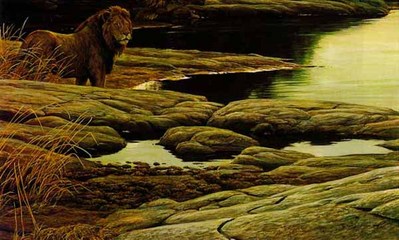 Lion At Tsavo- Signed By The Artist								 – Paper Lithograph
								 – Limited Edition
								 – 20 P/P
								 – 
								17 1/4 x 27
