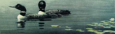 Loon Pair And Young- Signed By The Artist								 – Paper Lithograph
								 – Limited Edition
								 – 290 S/N
								 – 
								10 5/8 x 23								
								 –
