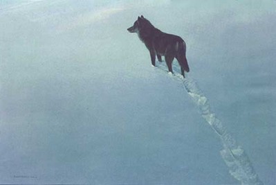 New Territory – Black Wolf- Signed By The Artist								 – Paper Lithograph
								 – Limited Edition
								 – 150 A/P
								 – 
								21 3/8 x 32