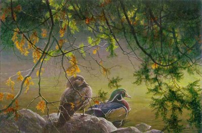 On The Pond – Wood Ducks- Signed By The Artist								 – Paper Lithograph
								 – Limited Edition
								 – 950 S/N
								 – 
								15 x 22 1/2
