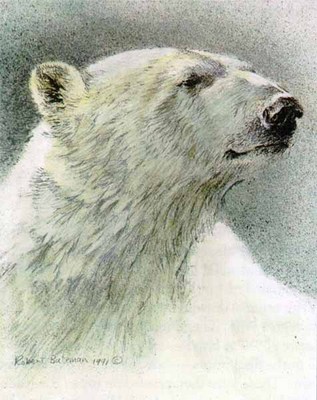 Predator Portfolio – Polar Bears (Set Of 3)- Signed By The Artist								 – Paper Lithograph
								 – Limited Edition
								 – 76 A/P
								 – 
								7 7/8 x 9 3/4