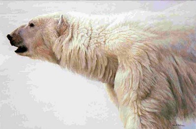 Polar Bear Profile- Signed By The Artist								 – Canvas Giclee
								 – Limited Edition
								 – 180 S/N
								 – 
								26 x 39