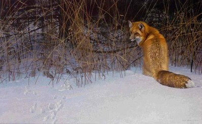 Red Fox On The Prowl- Signed By The Artist								 – Paper Lithograph
								 – Limited Edition
								 – 56 A/P
								 – 
								20 x 31 3/4