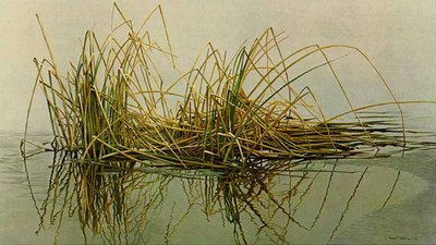 Reeds- Signed By The Artist								 – Paper Lithograph
								 – Limited Edition
								 – 20 P/P
								 – 
								15 1/4 x 25								
								 –