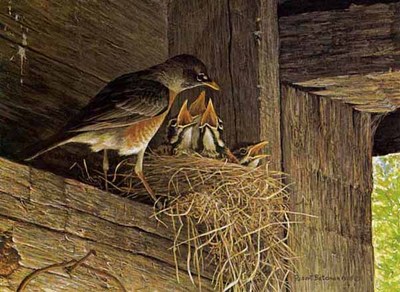 Robins At The Nest- Signed By The Artist								 – Paper Lithograph
								 – Limited Edition
								 – 950 S/N
								 – 
								11 1/4 x 14 3/4