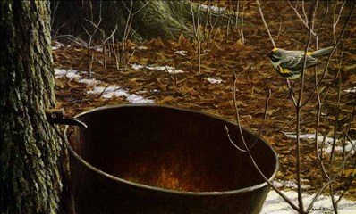 Sap Bucket – Myrtle Warbler- Signed By The Artist								 – Paper Lithograph
								 – Limited Edition
								 – 950 S/N
								 – 
								11 3/4 x 19 7/8