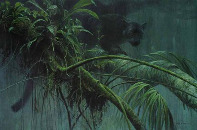 Shadow Of The Rainforest- Signed By The Artist								 – Paper Lithograph
								 – Limited Edition
								 – 9000 S/N
								 – 
								21 5/8 x 32 3/8