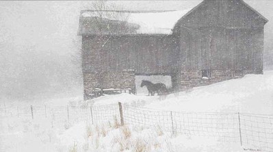 Shelter- Signed By The Artist								 – Paper Lithograph
								 – Limited Edition
								 – 950 S/N
								 – 
								17 x 30 1/4