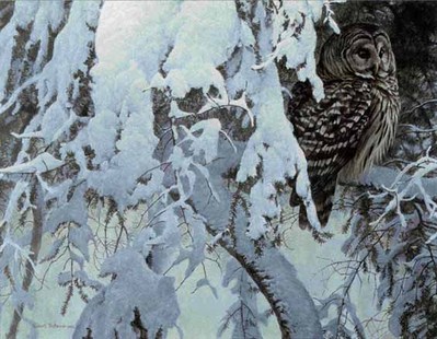 Snowy Hemlock – Barred Owl- Signed By The Artist								 – Paper Lithograph
								 – Limited Edition
								 – 950 S/N
								 – 
								20 x 27 1/4