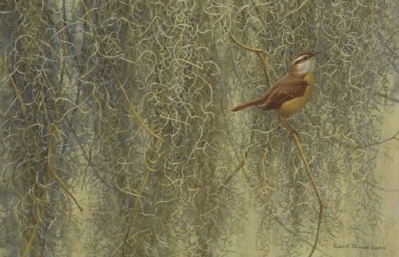 Song Of The South – Carolina Wren- Signed By The Artist								 – Paper Lithograph
								 – Limited Edition
								 – 950 S/N
								 – 
								12 x 18