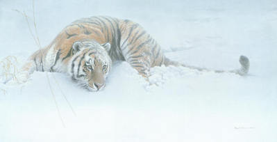 Sudden Move – Siberian Tiger- Signed By The Artist								 – Paper Lithograph
								 – Limited Edition
								 – 2500 S/N
								 – 
								16 1/4 x 32 1/2