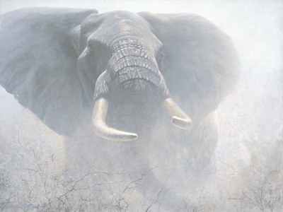 Tembo- Signed By The Artist								 – Canvas Giclee
								 – Limited Edition
								 – 180 S/N
								 – 
								30 x 40