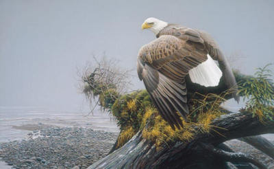 Vantage Point- Signed By The Artist								 – Canvas Giclee
								 – Limited Edition
								 – 40 A/P
								 – 
								24 x 40
