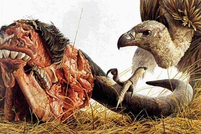 Vulture And Wildebeest- Signed By The Artist								 – Paper Lithograph
								 – Limited Edition
								 – 550 S/N
								 – 
								20 x 30 1/4