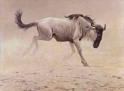 Wildebeest- Signed By The Artist								 – Paper Lithograph
								 – Limited Edition
								 – 950 S/N
								 – 
								20 1/4 x 24 3/4