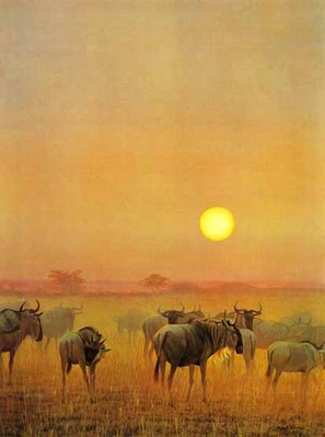 Wildebeests At Sunset- Signed By The Artist								 – Paper Lithograph
								 – Limited Edition
								 – 500 S/N
								 – 
								21 x 27 7/8								
								 –