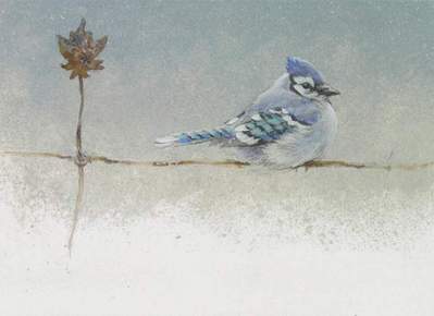 Winter Blues – Blue Jay- Signed By The Artist								 – Paper Lithograph
								 – Limited Edition
								 – 950 S/N
								 – 
								5 x 7