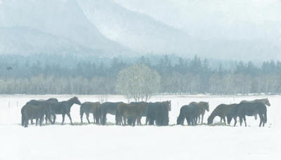 Winter Gathering – Horse Herd- Signed By The Artist								 – Canvas Giclee
								 – Limited Edition
								 – 350 S/N
								 – 
								23 x 40