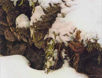 Winter Wren- Signed By The Artist								 – Paper Lithograph
								 – Limited Edition
								 – 56 A/P
								 – 
								12 1/2 x 16