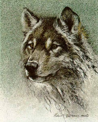 Predator Portfolio – Wolves (Set Of 3)- Signed By The Artist								 – Paper Lithograph
								 – Limited Edition
								 – 950 S/N
								 – 
								7 7/8 x 9 3/4