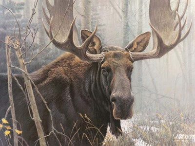 Bull Moose- Signed By The Artist								 – Paper Lithograph
								 – Limited Edition
								 – 950 S/N
								 – 
								18 1/2 x 25