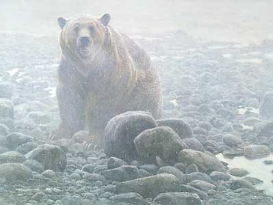 End Of Season – Grizzly- Signed By The Artist								 – Canvas Giclee
								 – Limited Edition
								 – 40 A/P
								 – 
								30 x 40