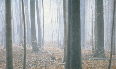 Hardwood Forest – Whitetail Deer- Signed By The Artist								 – Canvas Giclee
								 – Limited Edition
								 – 99 S/N
								 – 
								36 x 60
