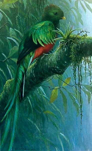 Quetzal- Signed By The Artist								 – Paper Lithograph
								 – Limited Edition
								 – 500 S/N
								 – 
								22 x 15 5/8