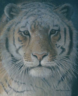 Tiger At Dusk- Signed By The Artist								 – Paper Lithograph
								 – Limited Edition
								 – 950 S/N
								 – 
								19 5/8 x 15 3/4